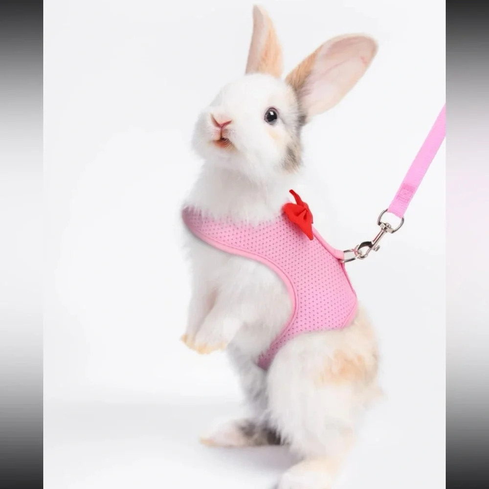 1pc Breathable Rabbit Harness & 1pc Leash For Small Animal For Outdoor